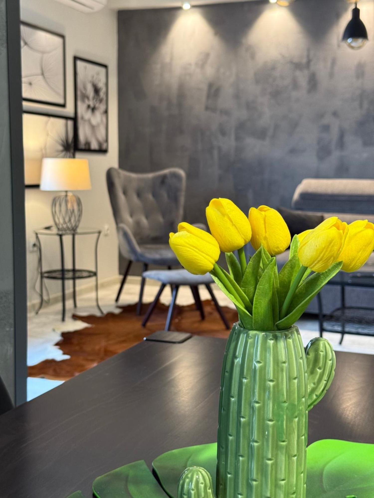 Apartman Pannonica Pin 0-24H Slavonski Brod Luaran gambar